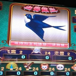 深耕動漫游戲領域 廣州市番禺區東環魚皇動漫產品開發部的專業供應商之路